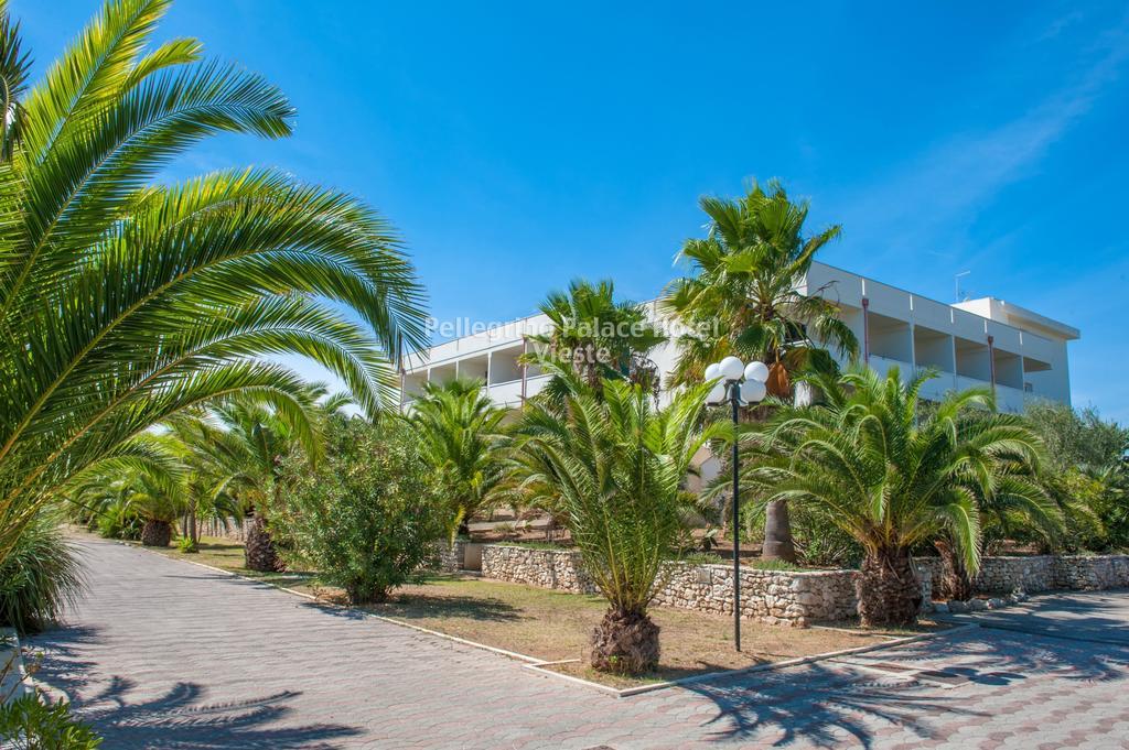Pellegrino Palace Hotel Vieste Eksteriør bilde